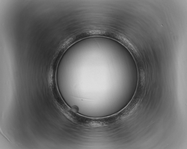 X0000116130490200911301350