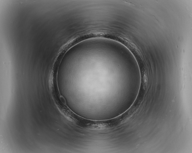X0000116130492200911301350