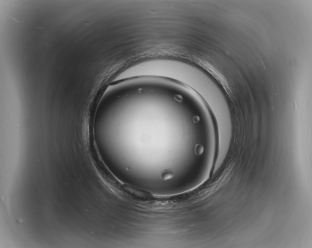 X0000116130493200911301350