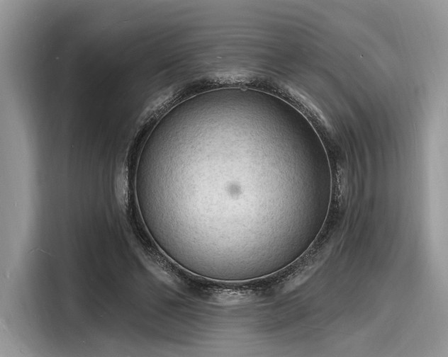 X0000116130494200911301350