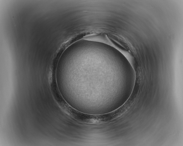 X0000116130496200911301350