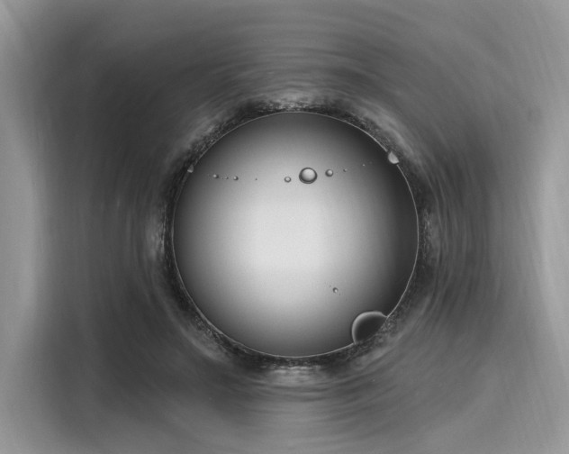 X0000116130499200911301350