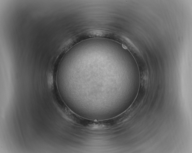 X0000116130500200911301350