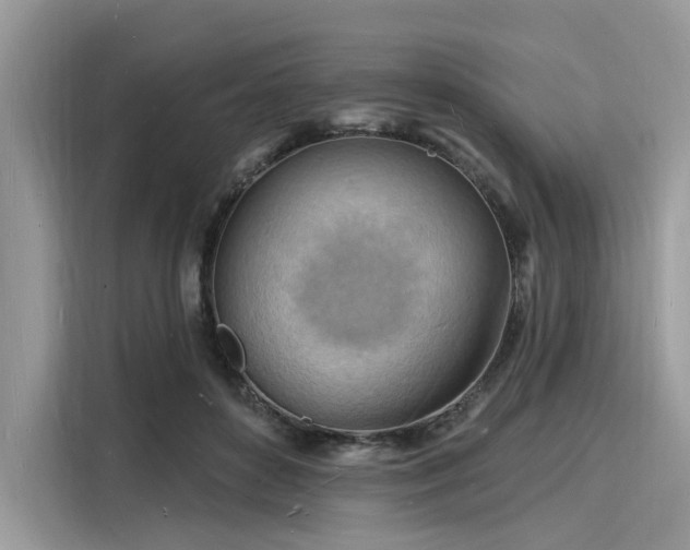 X0000116130504200911301350