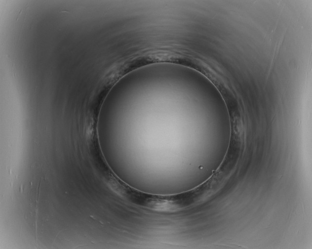 X0000116130507200911301350