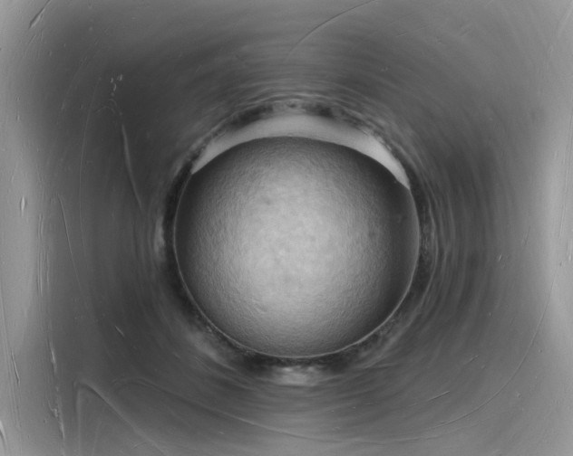 X0000116130508200911301350