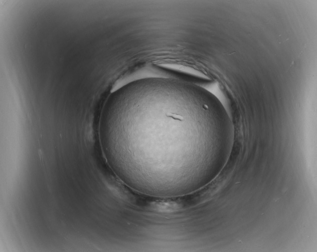 X0000116130512200911301350