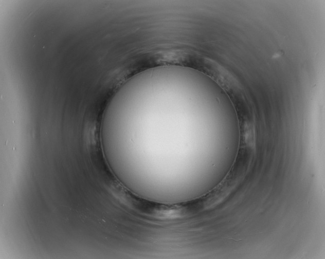 X0000116130514200911301349