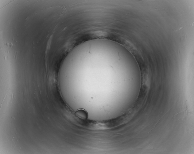 X0000116130518200911301349