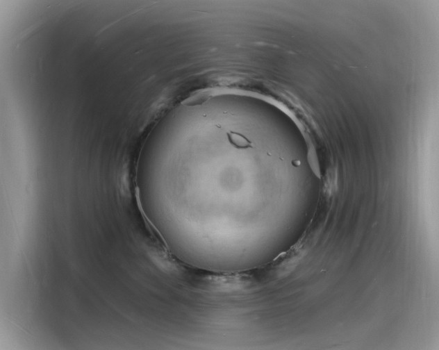 X0000116130524200911301349