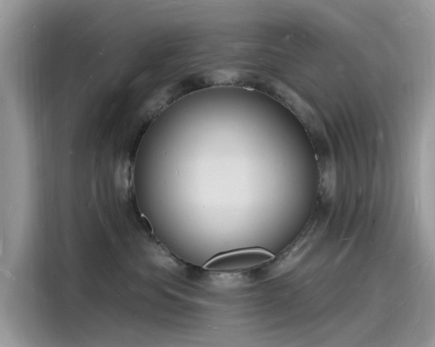 X0000116130525200911301349