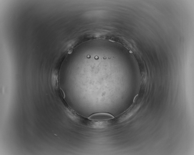 X0000116130527200911301349
