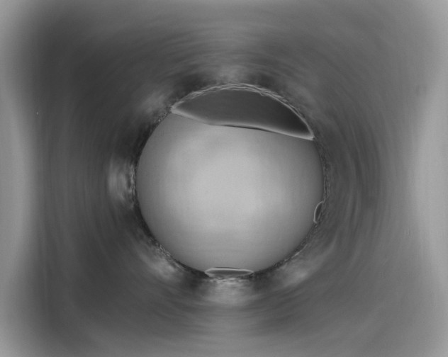 X0000116130528200911301349