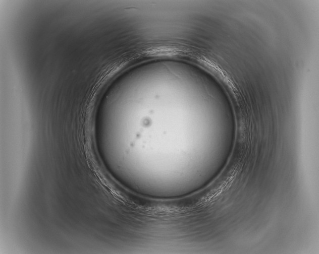 X0000116130529200911301349
