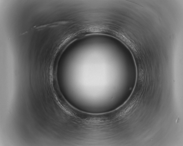X0000116130530200911301349