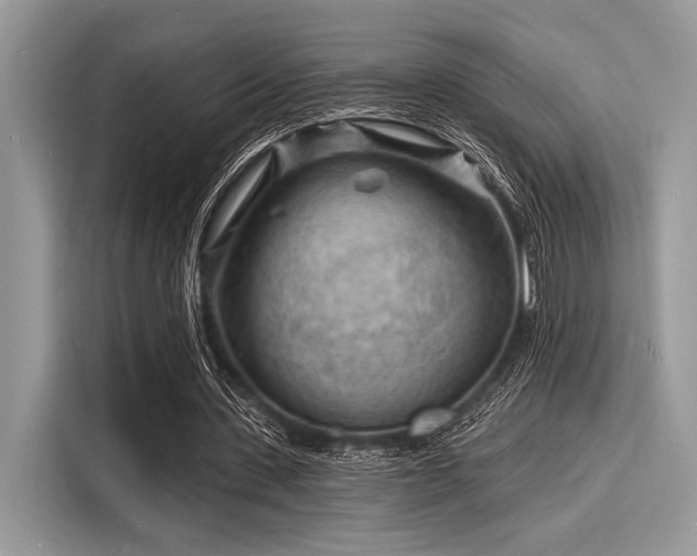 X0000116130531200911301349