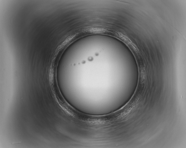 X0000116130533200911301349