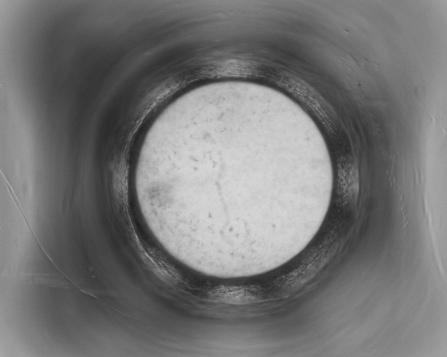 X0000116130534200911301349