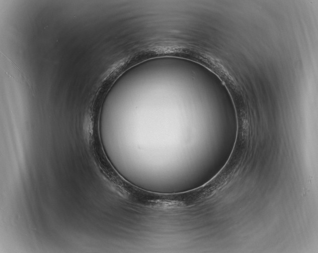 X0000116130539200911301349
