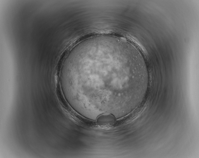 X0000116130541200911301349