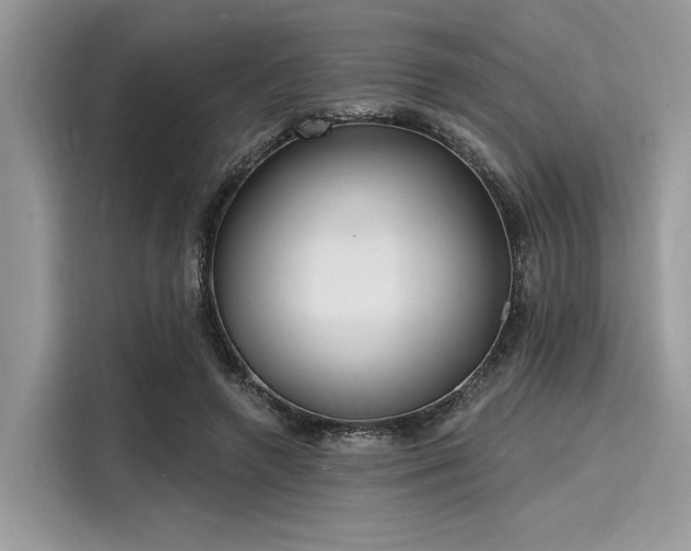 X0000116130546200911301349