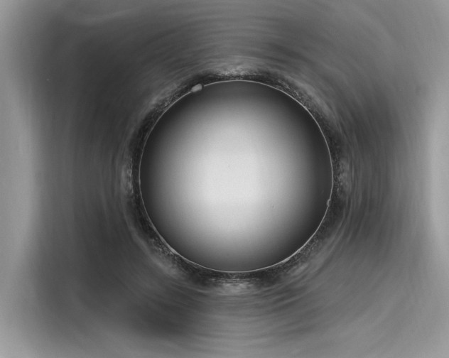 X0000116130547200911301349