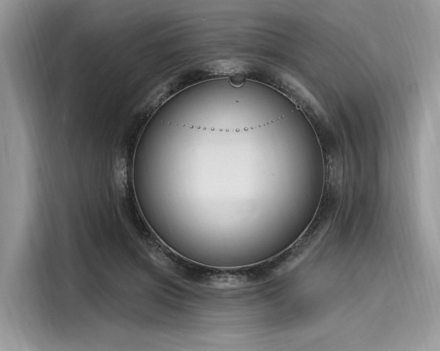 X0000116130549200911301349
