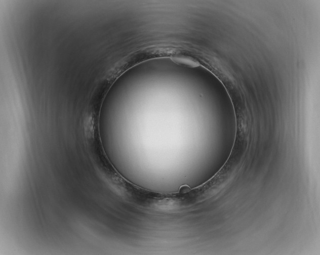 X0000116130551200911301349