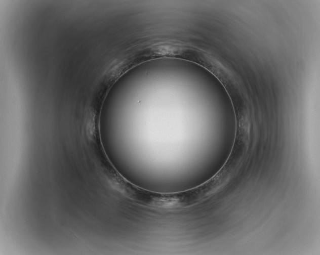 X0000116130554200911301349