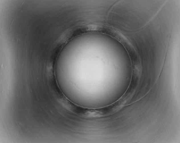 X0000116130557200911301349