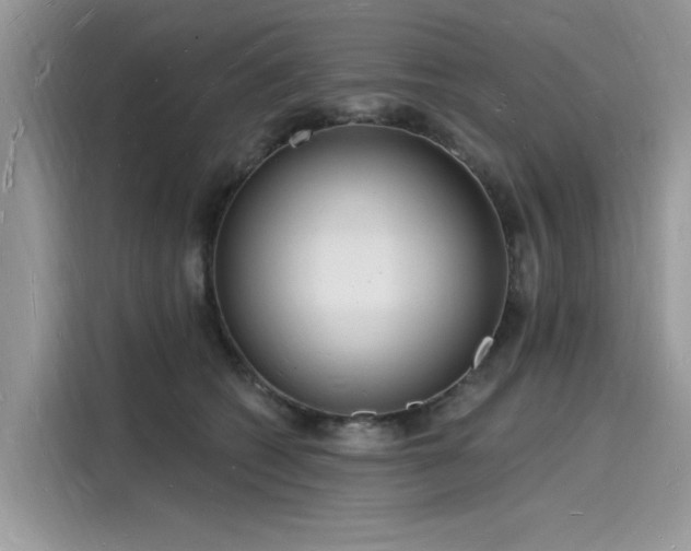 X0000116130562200911301349