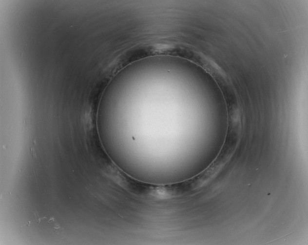 X0000116130565200911301349