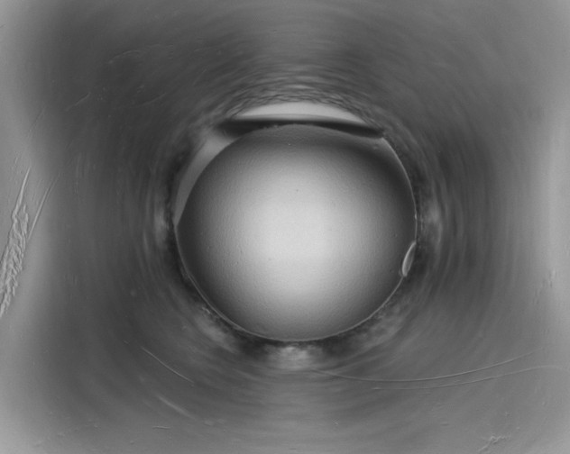 X0000116130566200911301349