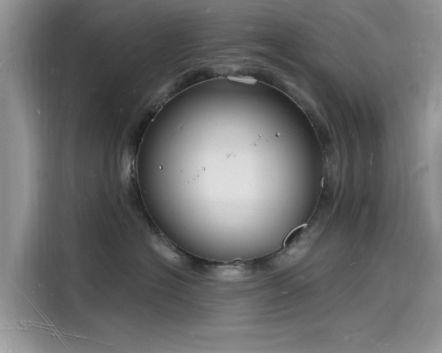 X0000116130574200911301349