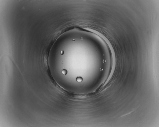 X0000116130575200911301349