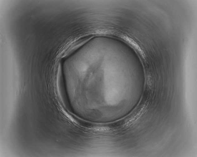X0000116130577200911301349
