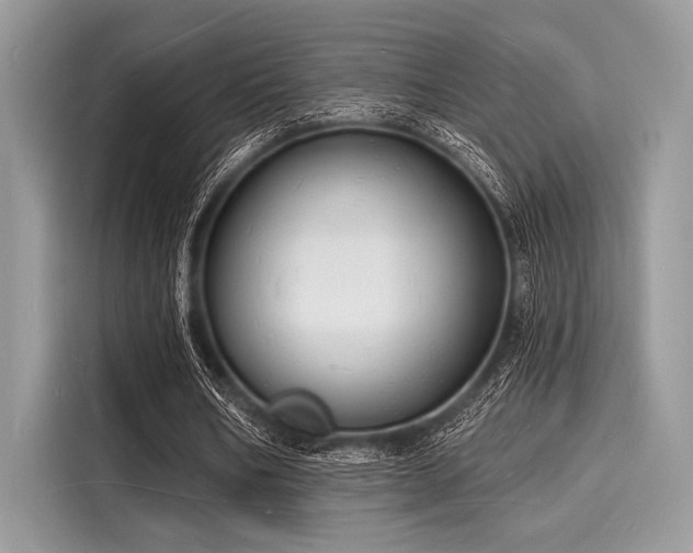 X0000116130578200911301349