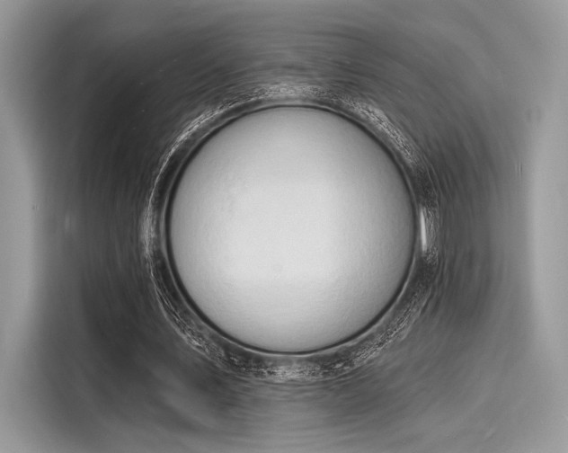X0000116130579200911301349