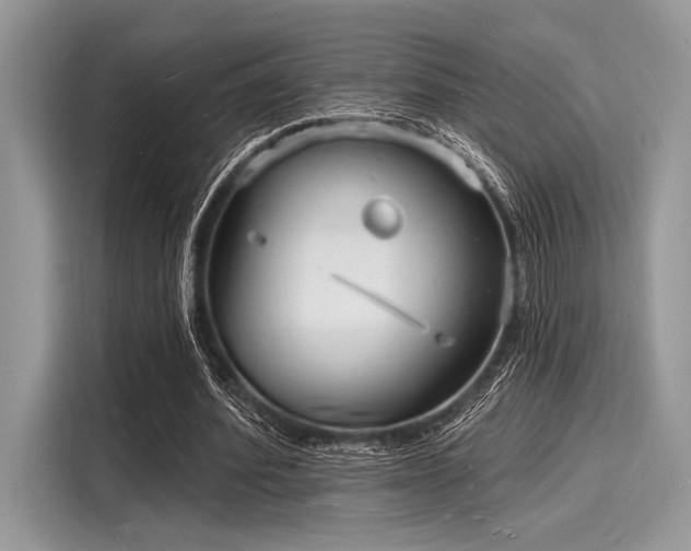 X0000116130580200911301349