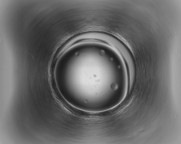 X0000116130581200911301349