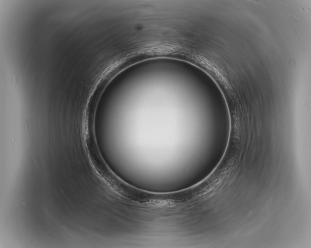 X0000116130582200911301349