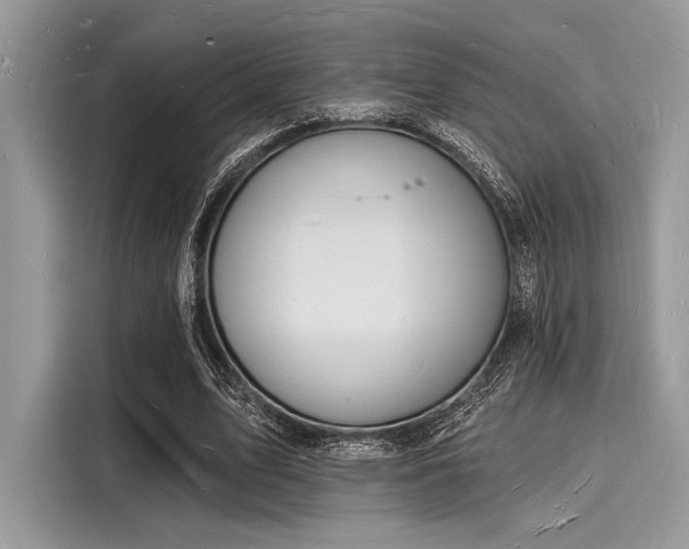 X0000116130583200911301349