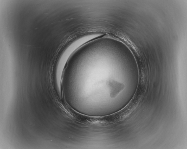 X0000116130585200911301349