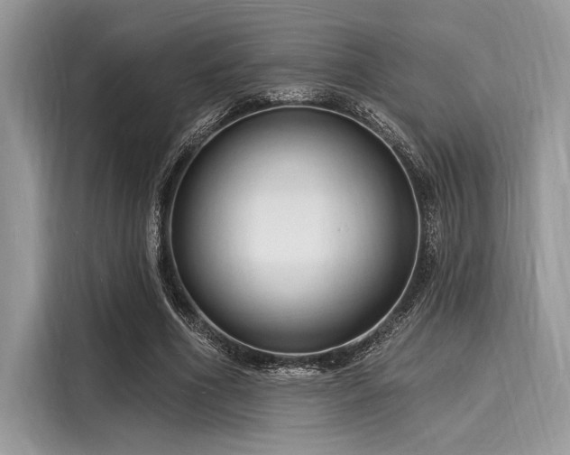 X0000116130586200911301349
