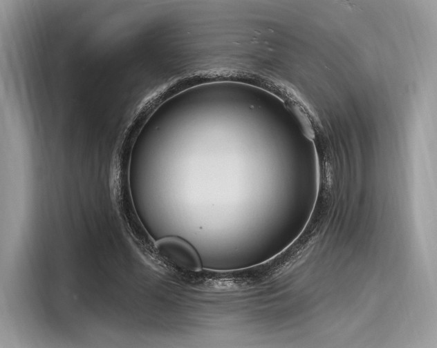 X0000116130588200911301349