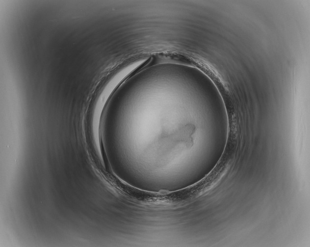 X0000116130589200911301349