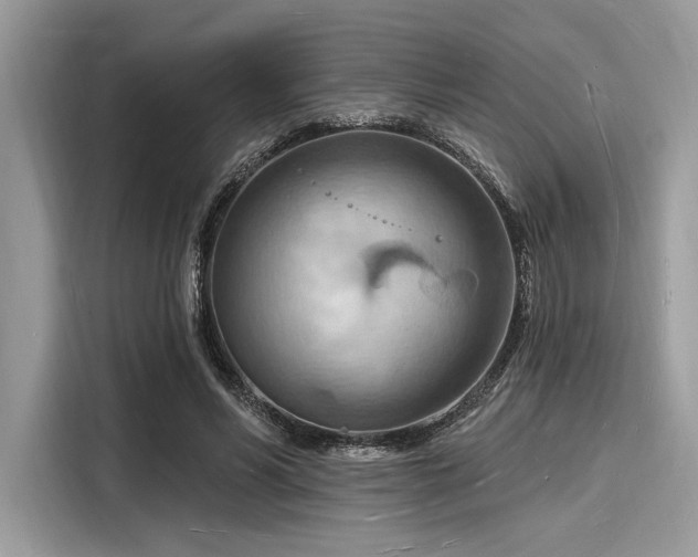 X0000116130590200911301348