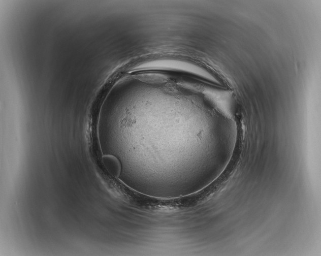 X0000116130592200911301348