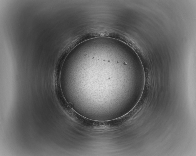 X0000116130594200911301348