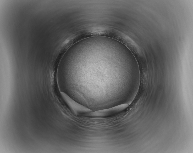 X0000116130596200911301348